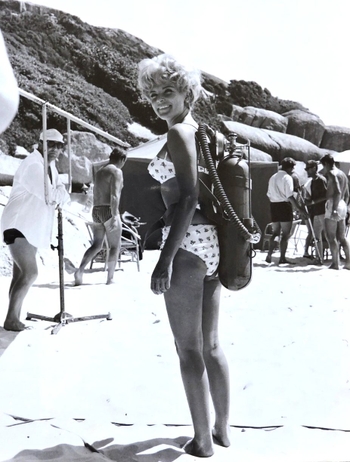 Ann Smyrner