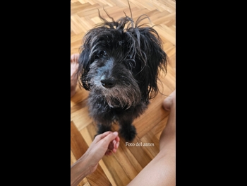  alt="Chachi Telesco"