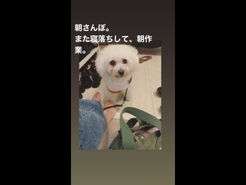  alt="Misako Yasuda"