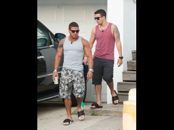  alt="Vinny Guadagnino"