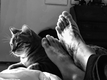 Gonzalo Garcia Vivanco