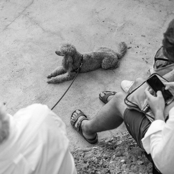 Gregor Schlierenzauer