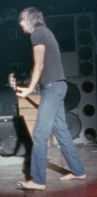 Krist Novoselic