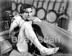 Rod Taylor