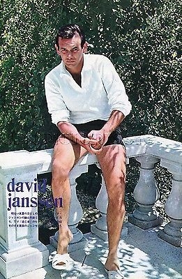 David Janssen