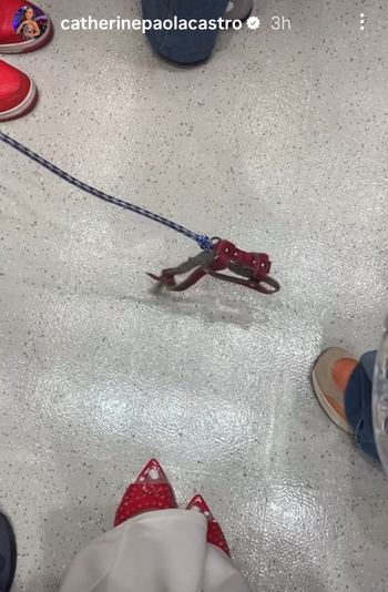 Catherine Paola Castro