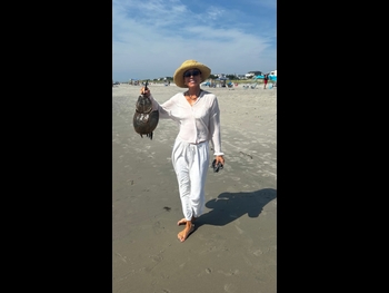  alt="Maria Bello"