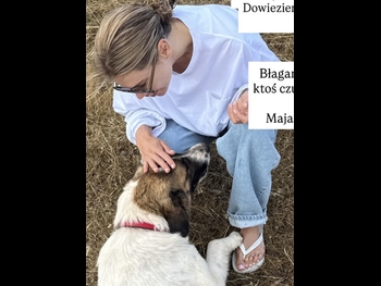  alt="Maja Bohosiewicz"