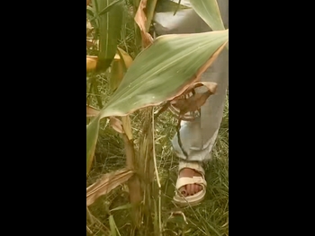  alt="Sonia Bohosiewicz"