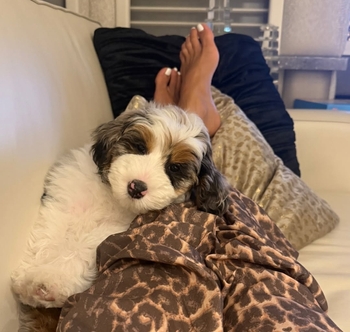 Samantha Busch