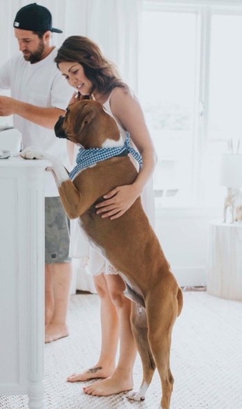 Jillian Harris