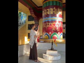  alt="Anfisa Chekhova"