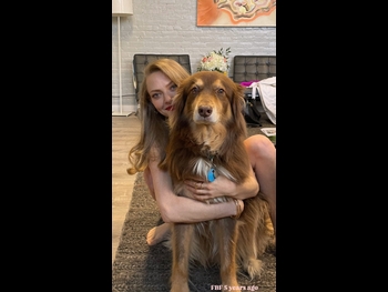  alt="Amanda Seyfried"