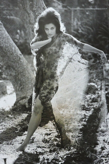 Barbara Parkins