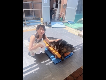  alt="Moe Toyota"