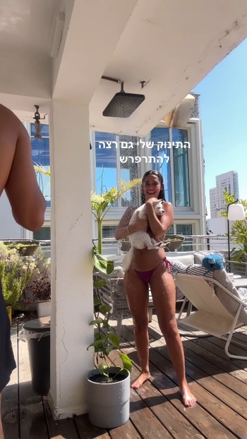 Danit Greenberg