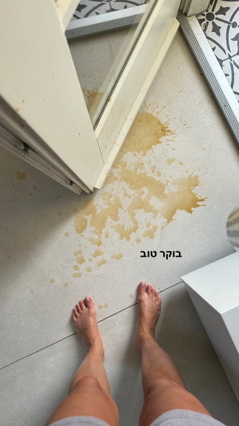 Danit Greenberg