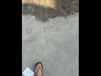  alt="Shaista Lodhi"