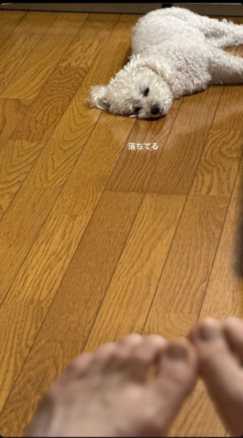 Konomi Naito