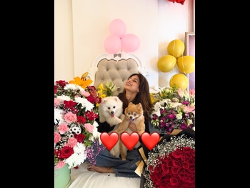  alt="Harnaaz Sandhu"