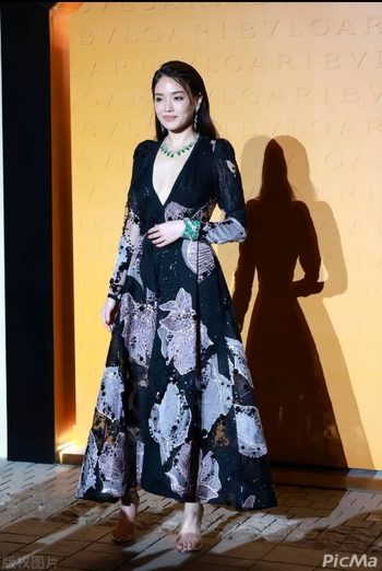 Shu Qi