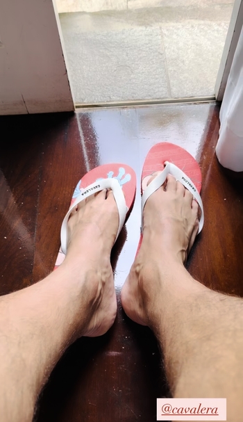 Reynaldo Gianecchini