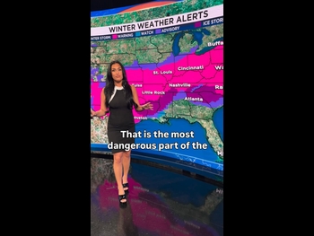  alt="Amanda Pappas"