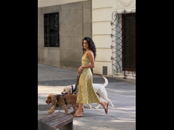  alt="Alejandra Capetillo"