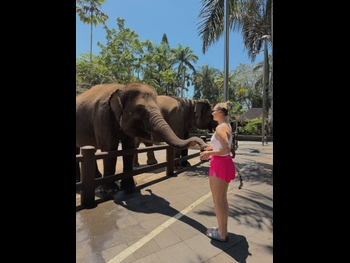  alt="Marketa Vondrousova"