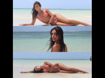  alt="Cosmary Fasanelli"