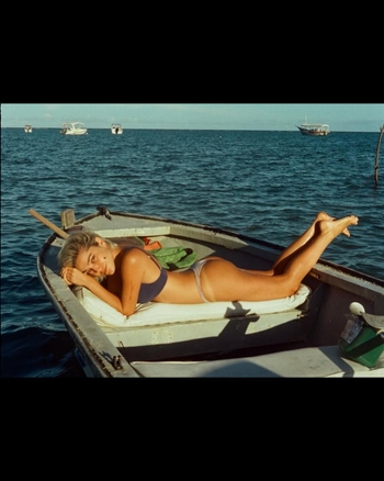 Bella Camero