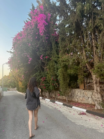 Yaprak Medine