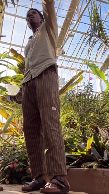 Bertram Williams Jr.