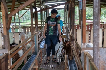 Syed Saddiq Syed Abdul Rahman