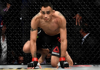 Tony Ferguson