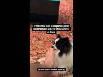 alt="Bruno Macedo"
