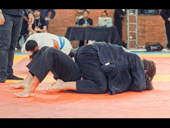  alt="Bruno Macedo"