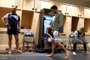 Gegard Mousasi