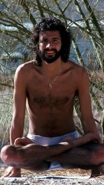 Cat Stevens