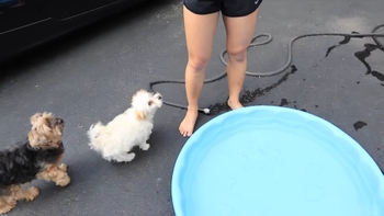 Lizzy Capri