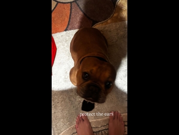  alt="Riley Simpson"