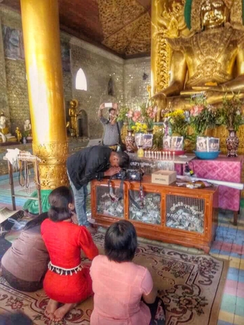 Ei Chaw Po