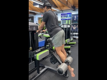 alt="Jalen Brunson"