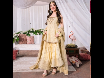  alt="Sidra Niazi"