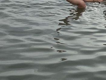 Amy Jefferson-Santee