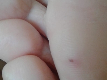 Amy Jefferson-Santee