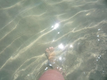 Amy Jefferson-Santee