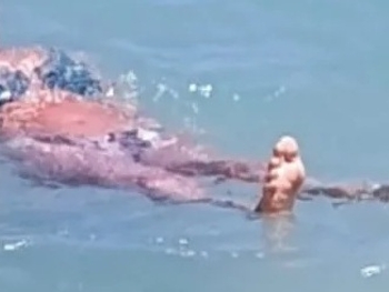 Amy Jefferson-Santee