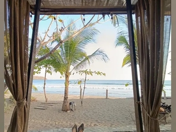 Amy Jefferson-Santee