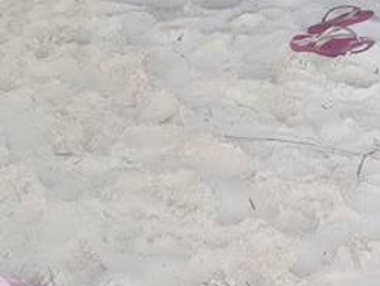 Amy Jefferson-Santee